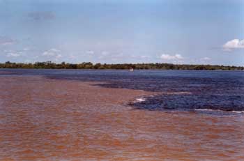 Rio Negro y Solimoes, Brasil