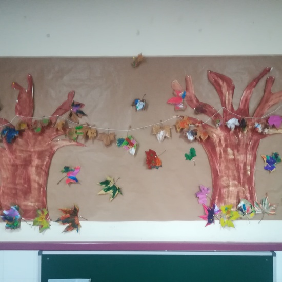 Semana del 11-15 noviembre  6