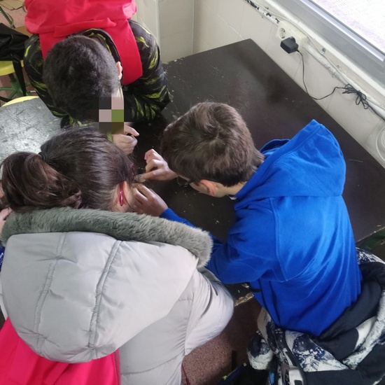 PW 6º IES PARQUE LISBOA 2019-2020 6