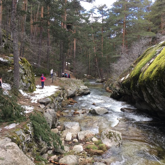 4ºC de Senderismo en la Boca del Asno_CEIP FDLR_Las Rozas 11