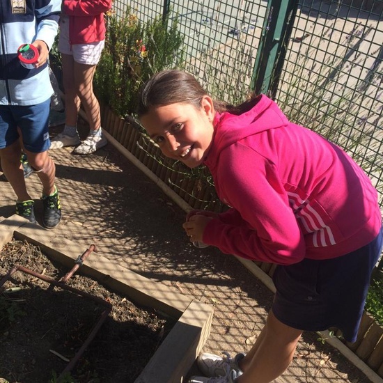 2019_06_11_4º observa insectos en el huerto_CEIP FDLR_Las Rozas 36