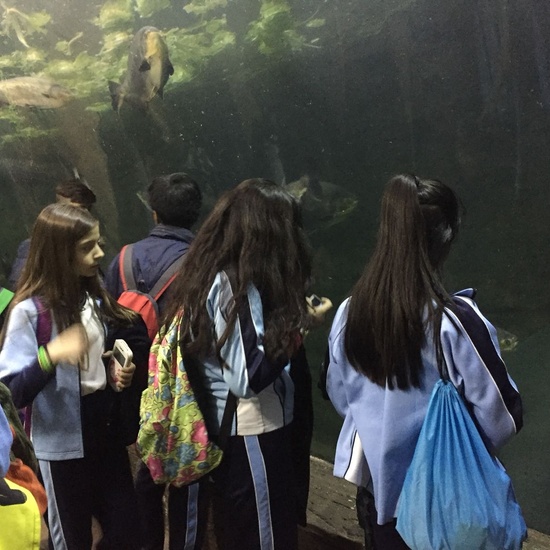 Faunia: taller y visita guiada 21