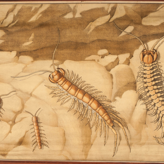 IES_RAMIRODEMAEZTU_BIOLOGIA_019