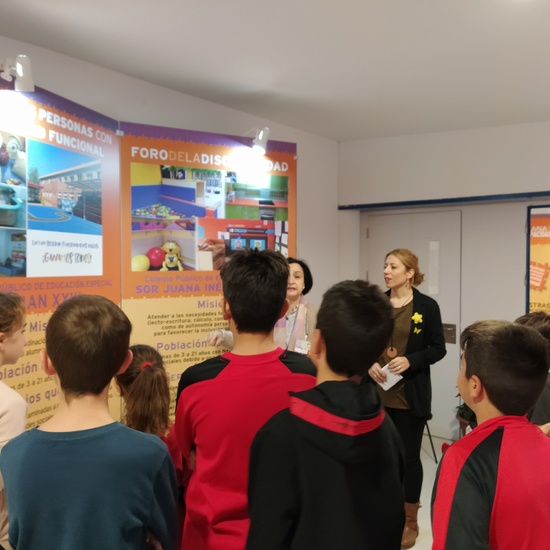 Diversidad funcional 4