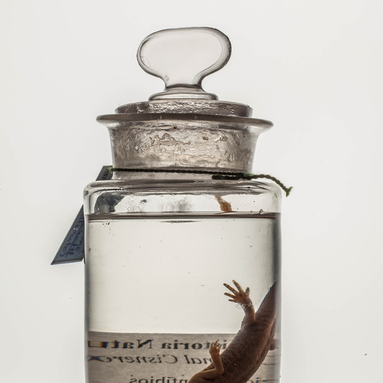 IES_CARDENALCISNEROS_CIENCIASNATURALES_206