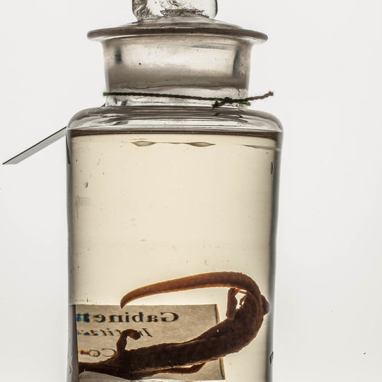 IES_CARDENALCISNEROS_CIENCIASNATURALES_198