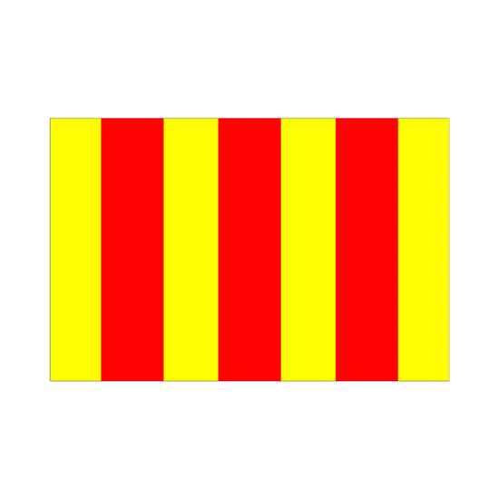 Bandera amarilla y roja: Aceite en la pista