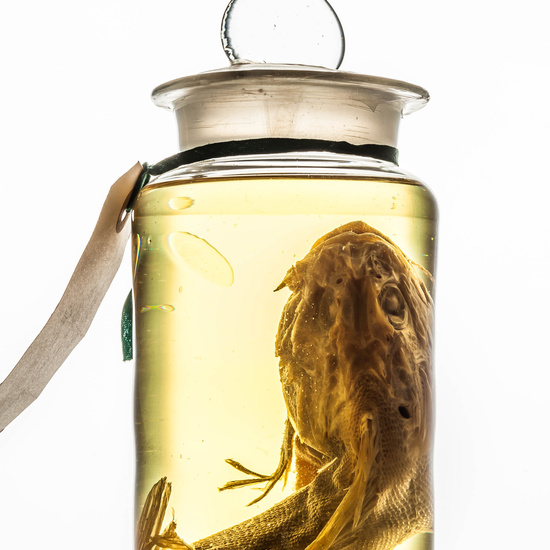 IES_SANISIDRO_MUSEO_BOTES_029