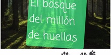 EL BOSQUE DEL MILLÓN DE HUELLAS