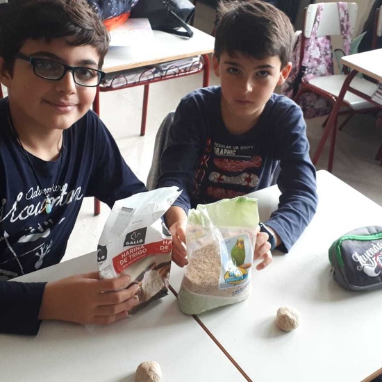 2019_01_27_4º realiza semilleros para pajaros_CEIP FDLR_Las Rozas 2