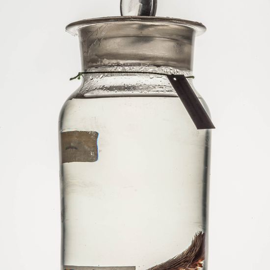 IES_CARDENALCISNEROS_CIENCIASNATURALES_061