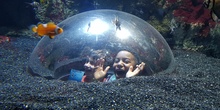 Aquarium Xanadú II 3ºB  16