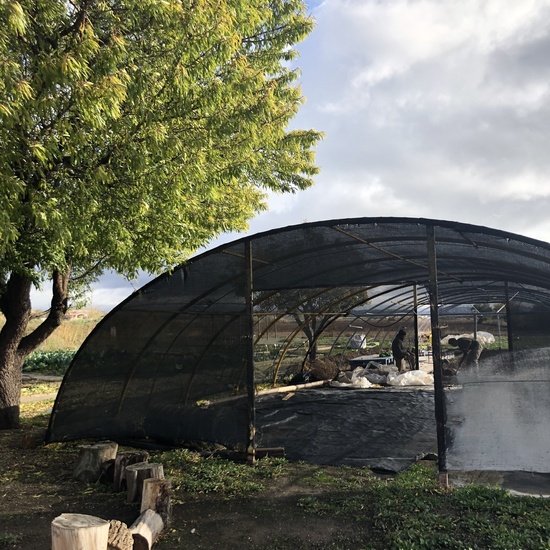 Albergue 6º - 2º día (mañana) 5