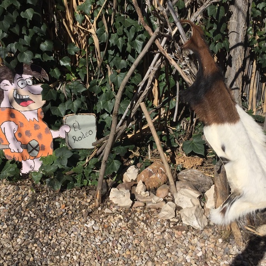 4º en la Granja Escuela El Rodeo. 10