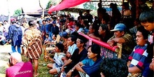 Zona de invitados. Hombres contemplando la festividad, Sulawesi,