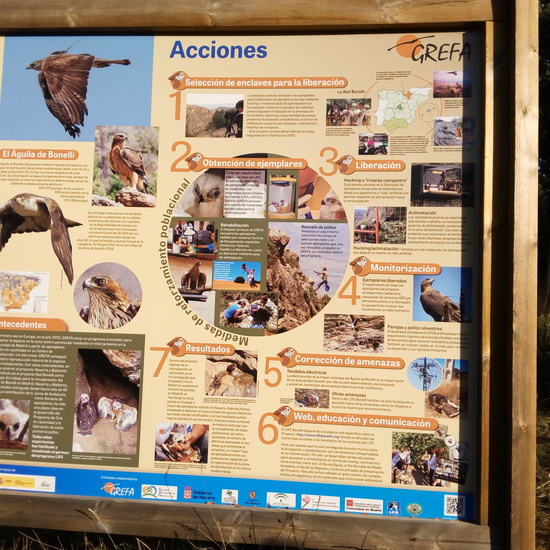 VISITA A GREFA. 5º CURSO 22