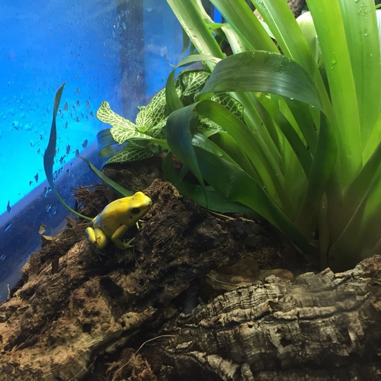 Faunia: taller y visita guiada 3