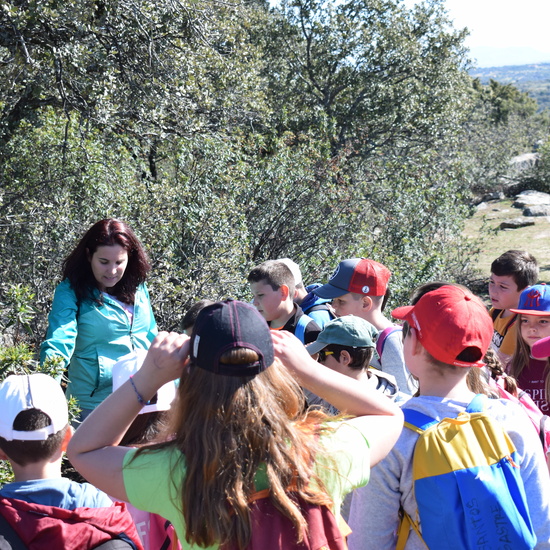 Sendero Vivo 3º Primaria 2018 6