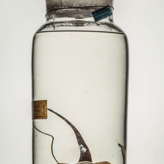 IES_CARDENALCISNEROS_CIENCIASNATURALES_182