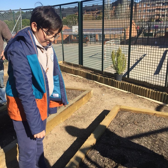 Quinto de Primaria_Taller de Huerto Escolar_CEIP Fernando de los Ríos_Las Rozas 8