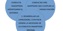 La práctica de la orientación en Educación Especial: el Apoyo Conductual Positivo