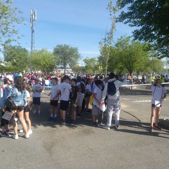 IV Olimpiadas escolares Alcorcón 9