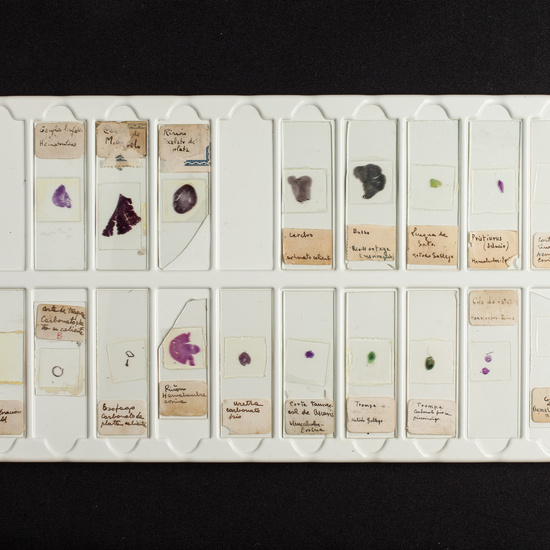 IES_ISABELLACATOLICA_BIOLOGIA_215