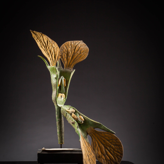 IES_SANISIDRO_MUSEO_Botanica_019