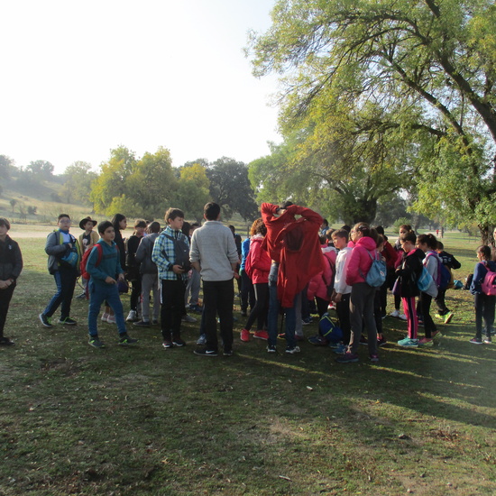 EN MÚLTIPLE 6º - 2019 17