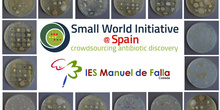 Small Wordl Initiative IES Manuel de Falla