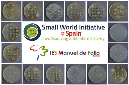 Small Wordl Initiative IES Manuel de Falla