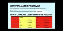 Determinantes, posesivos, numerales e indefinidos