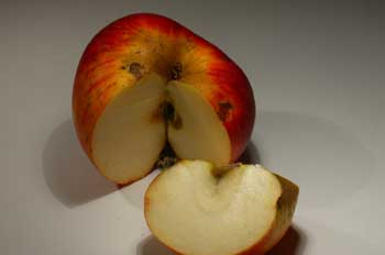 Manzana partida