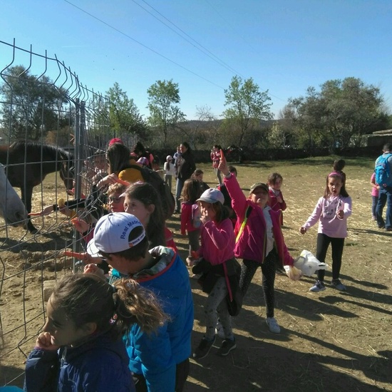 SALIDA A NUESTRO ENTORNO 8