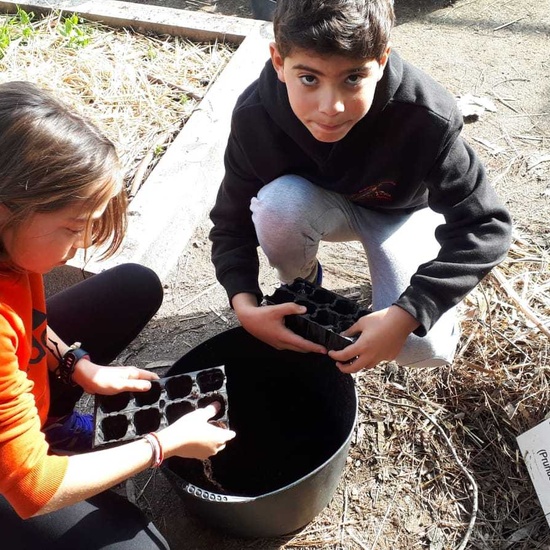 2020_02_13_4º planta en el huerto_CEIP FDLR_Las Rozas 13