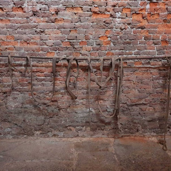 VIAJE FIN DE CURSO 2019 DÍA 4 41