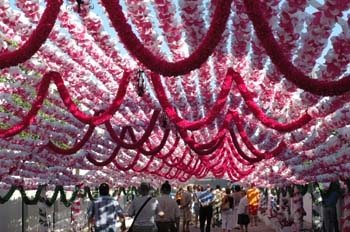 Adornos de las Festas do Povo, Campo Maior, Alentejo, Portugal