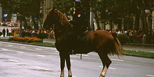 Policía a caballo