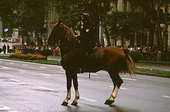 Policía a caballo