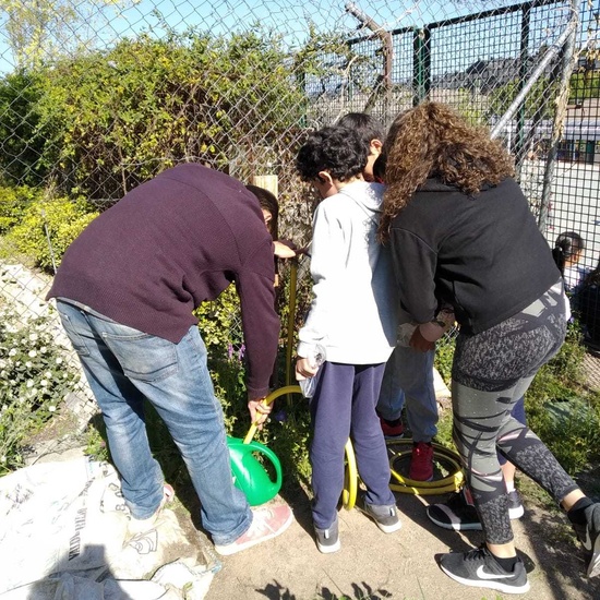 2019_04_Quinto en el huerto_CEIP FDLR_Las Rozas 8