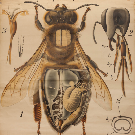 IES_RAMIRODEMAEZTU_BIOLOGIA_047