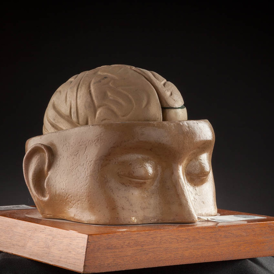 IES_ISABELLACATOLICA_ANATOMIA_034