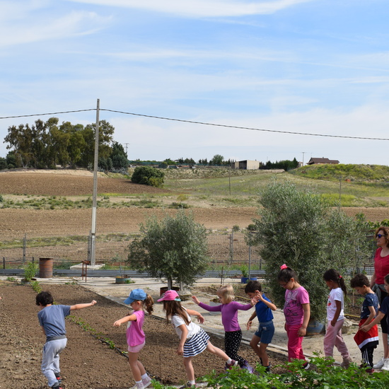 Siembra Huerta Balta 5 años 2018 23