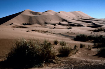 Desierto de Arabia