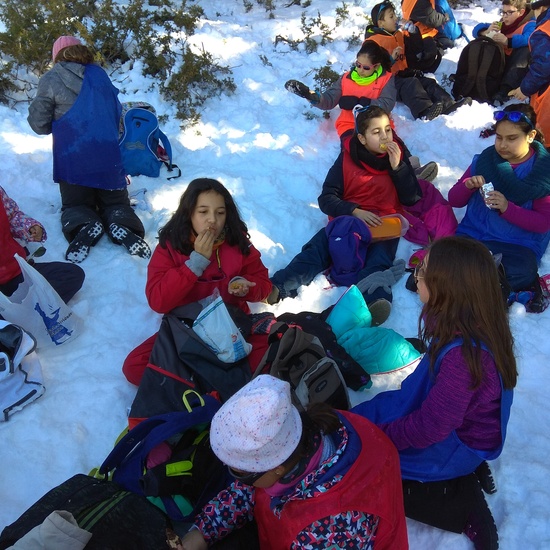 CONVIVIENDO EN LA NIEVE.- 4º HOSTOS 10