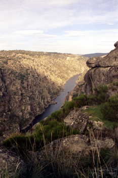 Arribes del Duero, Zamora