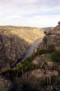 Arribes del Duero, Zamora