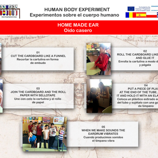 Humand body experiment 01 Home made ear