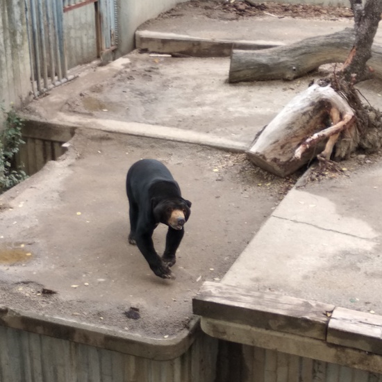 Visita al zoo 2019 14