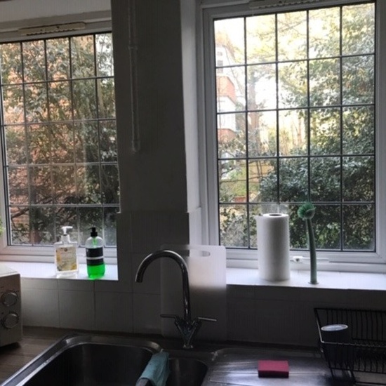 Inglaterra Curso 2019-2020 48